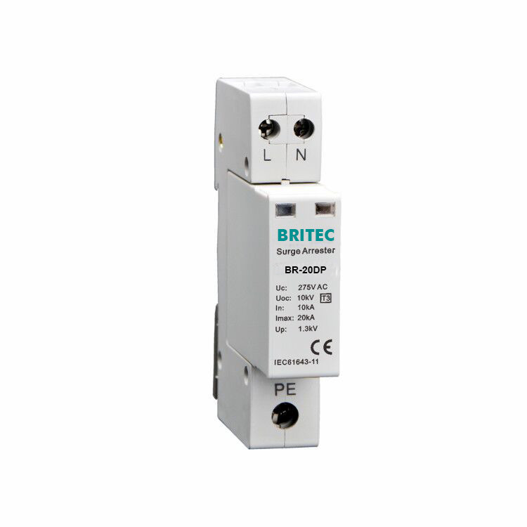 Thiết bị bảo vệ siêu cường BR-20DP 2P 10kV loại 3 cho hệ thống điện áp thấp